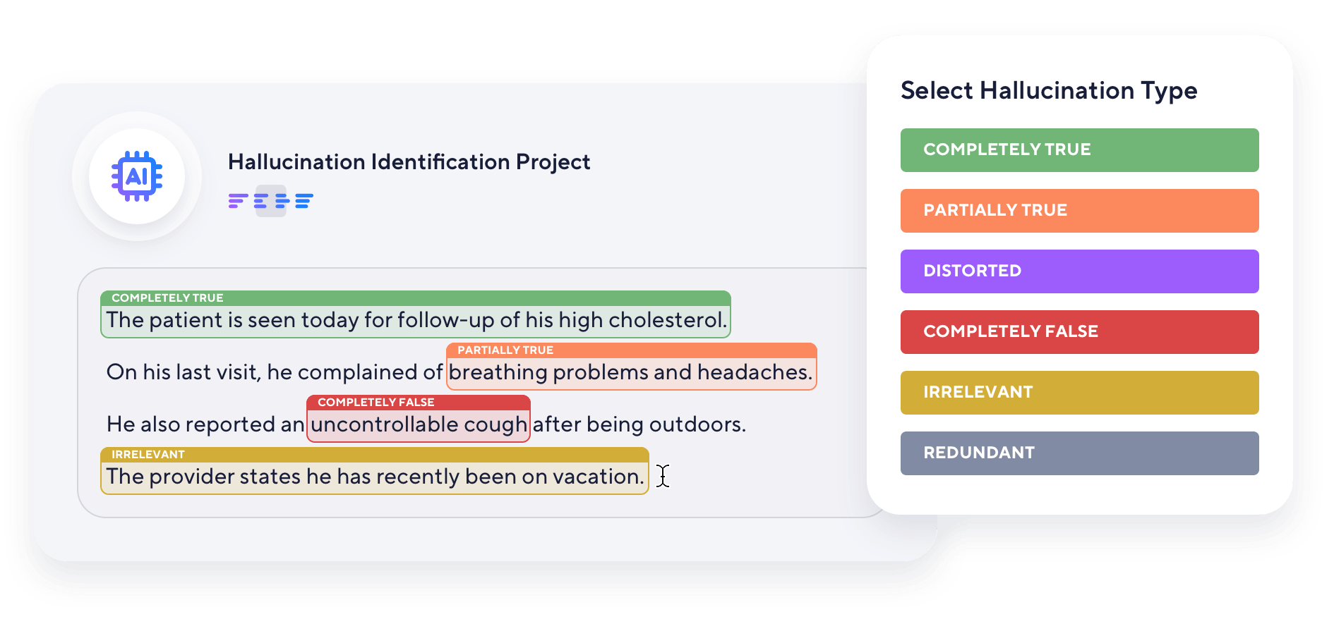 Hallucination Identification Project graphic